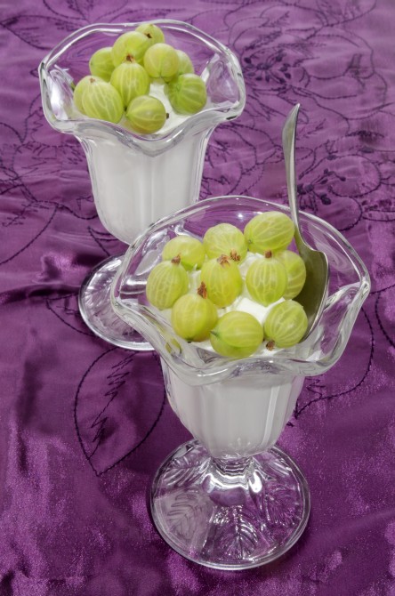 cold frozen yogurt with gooseberries in a glass