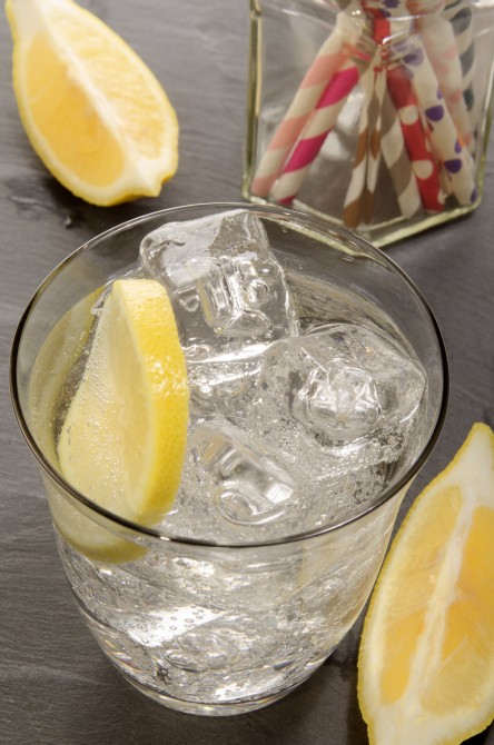 sparkling water with ice cubes and slice of lemon in a glass sparkling water with ice cubes and slice of lemon in a glass