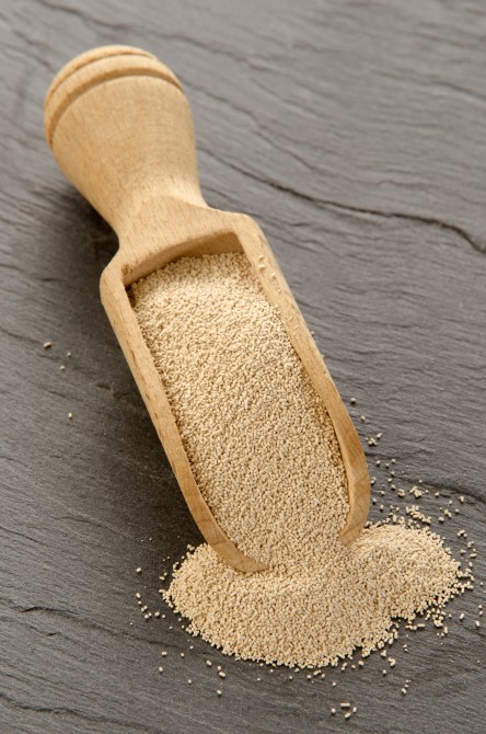 dry yeast and wooden shovel on slate