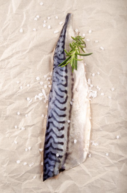 raw mackerel fillet with coarse salt and rosemary on brown kitchen paper 