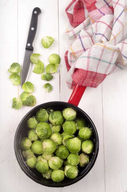 brussels sprouts with water in a pot, kitchen knife and tea towel brussels sprouts with water in a pot, kitchen knife and tea towel