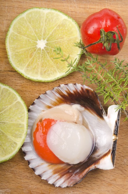 raw scallop with slice lemon, tomato and thyme on a wooden board