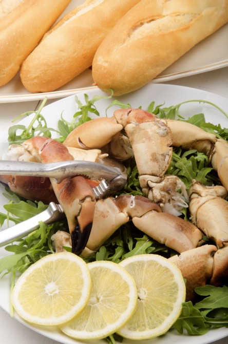 crab claw opened with a nutcracker, salad and bread roll crab claw opened with a nutcracker, salad and bread roll