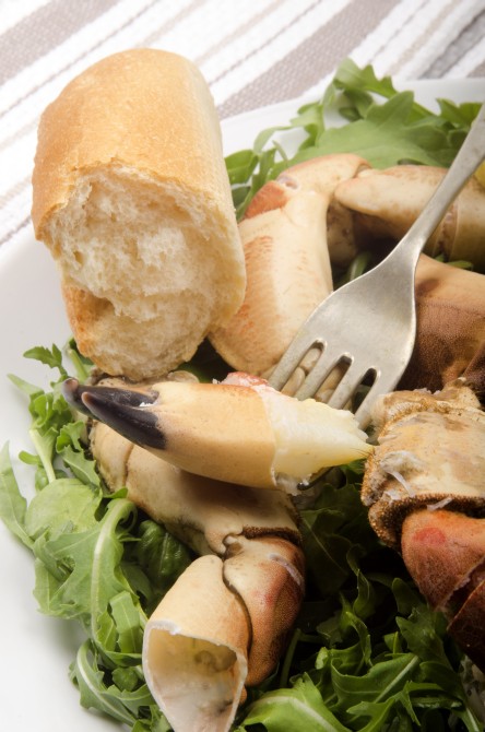 warm crab claw meat on a fork