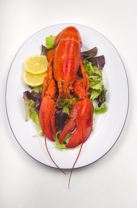 cooked lobster with salad and lemon slice on a plate cooked lobster with salad and lemon slice on a plate