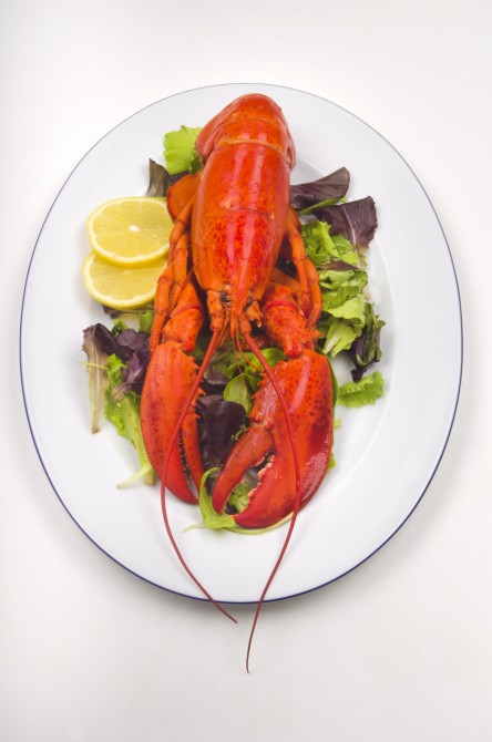 cooked lobster with salad and lemon slice on a plate