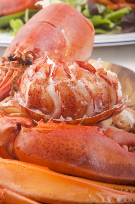 boiled lobster meat and shell with salad