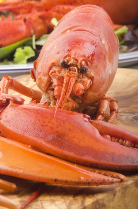 boiled lobster on a wooden board