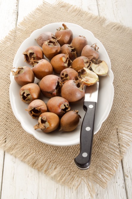 dried rosehip on a white plate with knife