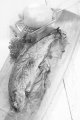 oven baked trout on paper with onion, rosemary and lemon