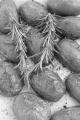 oven baked potato with rosemary and crushed pepper 