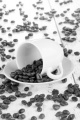 freshly roasted coffee beans and cup on white wood table