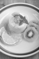 panna cotta with kiwi, lime, mint and fruit sauce
