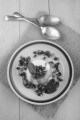 panna cotta with pomegranate seed, strawberry sauce and mint on a plate