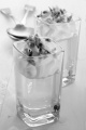 woodruff jelly with whipped cream and chocolate curls in a shot glass