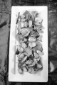 cooked clams with fresh salad on a large plate