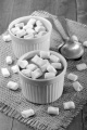 home made chocolate mousse with marshmallow  