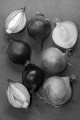 purple and white organic onion on slate