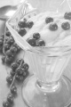 custard with red currants in a glass bowl