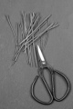 herb scissors with fresh chives on slate 