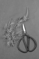 herb scissors with fresh dill on slate 
