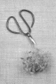 fresh sweet basil and herb scissors on jute