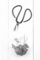 herb scissors and parsley on a white rustic table
