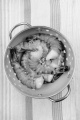 fresh raw king prawns in a colander