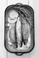 fresh trout with rosemary, onion slice pepper corn and garlic in a roasting tin