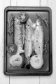 three fresh trout in a roasting tin with tomato slice, garlic, pepper corn, coarse salt and rosemary